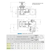 ART. 205/D Gruppo attacco per autopompa di mandata UNI 10779 ALL IN ONE - Ingresso tipo flangiato con 1 attacco - DN100 4" 2972CV.205