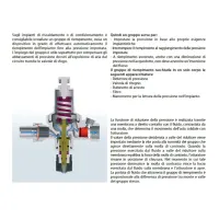 2110 - Gruppo di riempimento automatico cromato completo di manometro - Misura 1/2" 2110