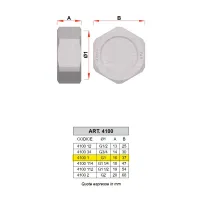 4100 - Tappo cieco completo di guarnizione - Misura 1" 4100 1