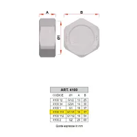 4100 - Tappo cieco completo di guarnizione - Misura 1"1/4 4100 114