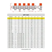 3923 - Collettore componibile di mandata con detentori di bilanciamento - Misura 1" - 2 derivazioni 3923 102