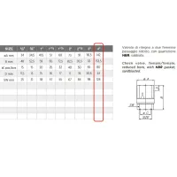 Valvola di ritegno a due femmine F-F 4" passaggio ridotto, con guarnizione NBR, sabbiata H0161S12