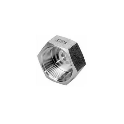 Calotta esagonale 3/4" AISI 316 ISO4144 300304316L