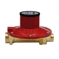 Regolatore bassa pressione - IN 1/4" F OUT 1/2" F - modello con valvola di sicurezza a sfioro incorporata, portata 12 kg/h 00000000900