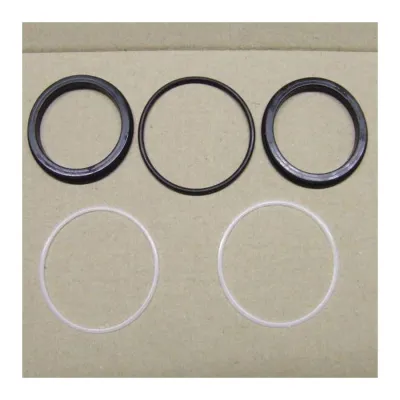 Set guarnizioni o-ring anello hostaform ricambi Paini 25CC573GU