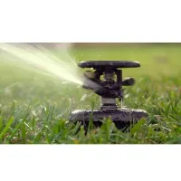 Rain Bird Maxi Paw | Irrigatore a impatto con attacco inferiore e laterale femmina da 1/2" - raggio da 6,7 a 13,7 INRB0690008