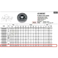 Flangia a collarino PN10 DN300 ø12" 415300016I