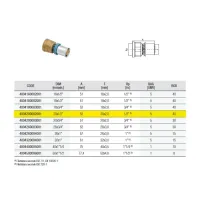 4004 Raccordo diritto femmina ø20 x 1/2"F in ottone a pressare DeltaPress 4004200002001