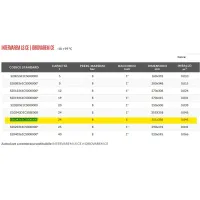 Autoclave a membrana sostituibile INTERVAREM LS CE da 24 litri per acqua sanitaria S2024361CS000000