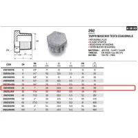 Tappo M esagonale 1" AISI316 ISO4144 292100316L