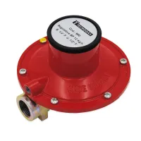 Regolatore bassa pressione - IN 1/4" F OUT 1/2" F - modello con valvola di sicurezza a sfioro incorporata, portata 12 kg/h 00000000900