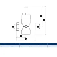 Rubinetti portamanometro a pulsante ø 3/8" FF modelli PN4 00000006921