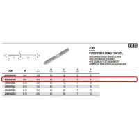 Vite ferro-legno zincata M8 x 100mm 216008100