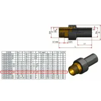 Raccordo di transizione Nupi maschio - diametro 75 x 2"1/2 in PE e ottone 12ERFM75212