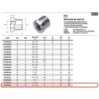 Riduzione esagonale MF zincato ø2"M x 1/2"F 241200124