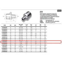 Vite doppia ridotta zincata ø1"M x 1/2"M 245100124