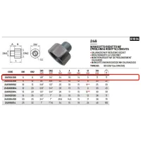 Manicotto ridotto MF (prolunga ridotta) zincato ø1/4"M x 1/8"F 246104108