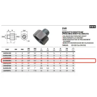 Manicotto ridotto MF (prolunga ridotta) zincato ø3/8"M x 3/4" F 246308304