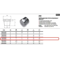 Tappo maschio testa esagonale zincato ø1"M 292100001