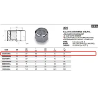 Tappo calotta esagonale zincata ø1/4"F 300104004