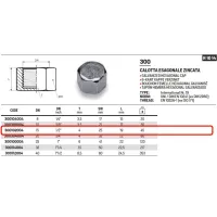 Tappo calotta esagonale zincata ø1/2"F 300102004