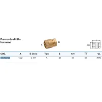 Raccordo diritto femmina 14x2 x 1/2" Pexal Twist con portagomma separabile VS0100703