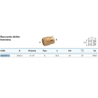 Raccordo diritto femmina 20x2,5 x 1/2" Pexal Twist con portagomma separabile VS0100714