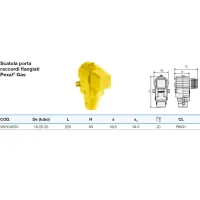 Scatola porta raccordi flangiati Pexal Gas - tubo 16-20-26 VS0104550