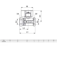 Valvola filettata per contatore gas bitubo DN25 1" - valvola diritta versione FF G243010100