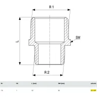 Vite doppia ridotta ø1.1/2"Mx1"M bronzo, filettatura R 321697