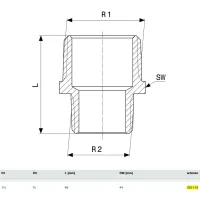 Vite doppia ridotta ø1.1/4"Mx3/4"M bronzo, filettatura R 320119