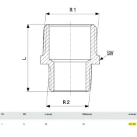 Vite doppia ridotta ø1"Mx1/2"M bronzo, filettatura R 320287