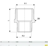 Vite doppia ridotta ø2"Mx1.1/4"M bronzo, filettatura R 320270