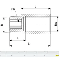 Prolunga MF 1"x20 bronzo, filettatura R, filettatura Rp 440589