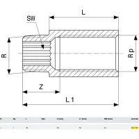 Prolunga MF ø1"xL.30mm bronzo, filettatura R, filettatura Rp 357191