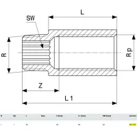 Prolunga MF ø1"xL.40mm bronzo, filettatura R, filettatura Rp 357207