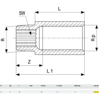 Prolunga MF ø3/4"xL.40mm bronzo, filettatura R, filettatura Rp 355050