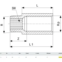 Prolunga MF ø3/4"xL.50mm bronzo, filettatura R, filettatura Rp 357252