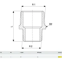 Vite doppia ridotta 1"1/4x1" bronzo, filettatura R 269173