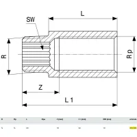 Prolunga MF 3/8"x20 bronzo, filettatura R, filettatura Rp 354930