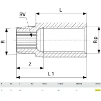 Prolunga MF 1/2"x20 bronzo, filettatura R, filettatura Rp 354978