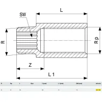 Prolunga MF 1/2"x25 bronzo, filettatura R, filettatura Rp 354985