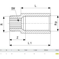 Prolunga MF 1/2"x30 bronzo, filettatura R, filettatura Rp 354992