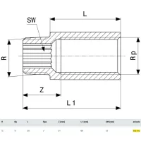 Prolunga MF 1/2"x50 bronzo, filettatura R, filettatura Rp 355012