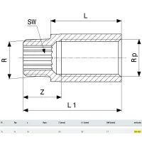 Prolunga MF 3/4"x15 bronzo, filettatura R, filettatura Rp 364861