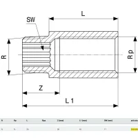 Prolunga MF 3/4"x25 bronzo, filettatura R, filettatura Rp 355036