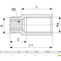 Prolunga MF 1"x15 bronzo, filettatura R, filettatura Rp 440572