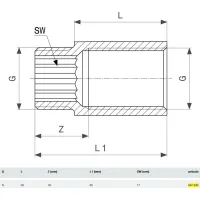 Prolunga MF 3/4"x50 bronzo cromato, filettatura femmina G, filettatura maschio G 447335