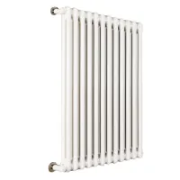 Ardesia radiatore tubolare 2 colonne 10 elementi h.750 - colore bianco RAL9016 - completo di tappo cieco e riduzioni da 1/2" 3541700017315