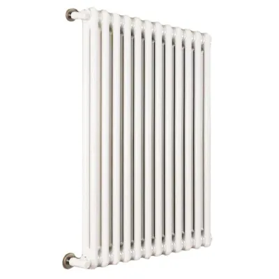 Ardesia radiatore tubolare 2 colonne 20 elementi h.600 - colore bianco RAL9016 - completo di tappo cieco e riduzioni da 1/2" 3541700025945